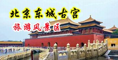 自扣美穴bb性感自拍中国北京-东城古宫旅游风景区